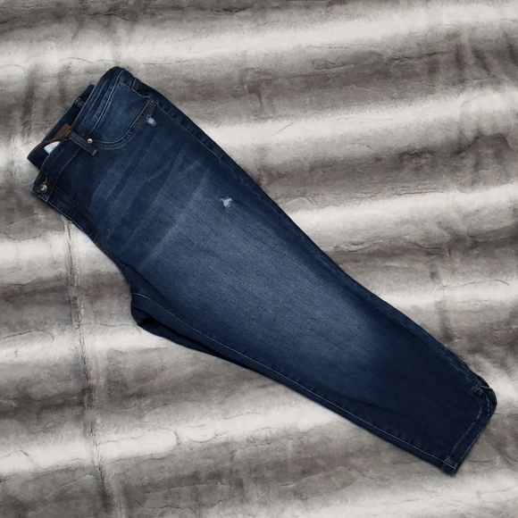 Lila Ryan  Jean's 20w - Picture 7 of 8